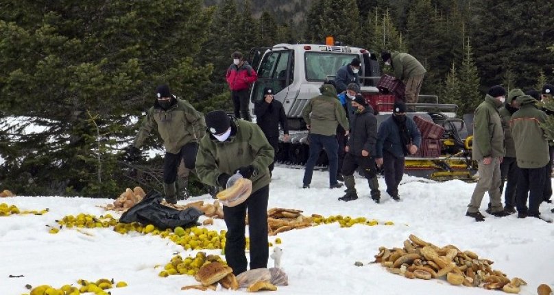 Bursa'da karlı kış gününde yaban hayvanları unutulmadı