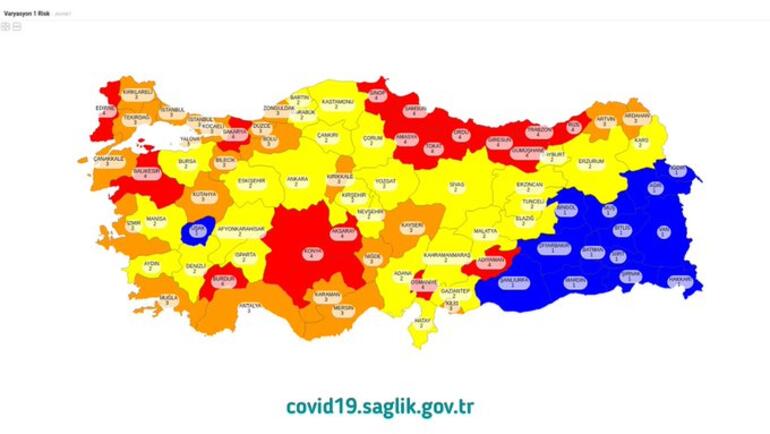 Bakan Koca paylaştı İşte illerin risk durumu!