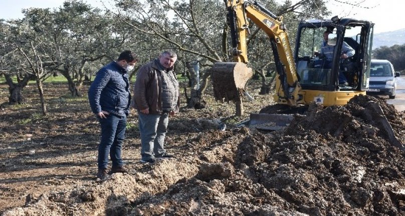 Umurbey'de zeytinlikler suya kavuşuyor