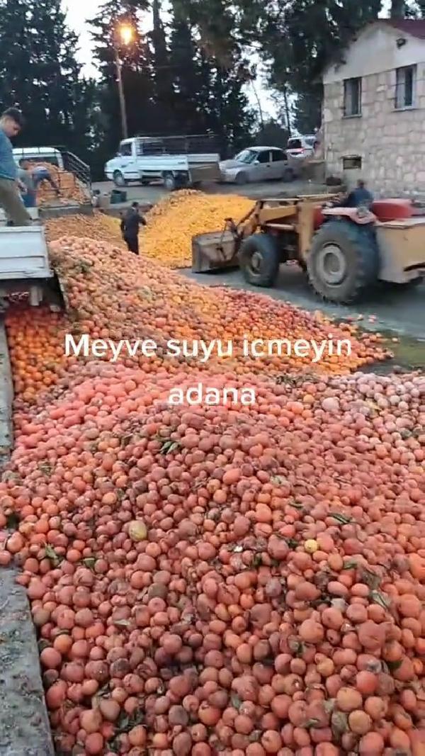 Çürük portakallarla meyve suyu yapıldığı iddiasına denetleme!