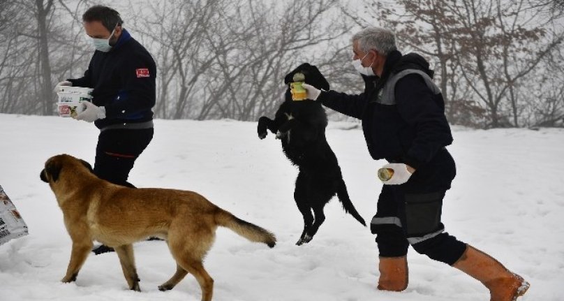 Bursa Osmangazi'de can dostlar için kış öğünü