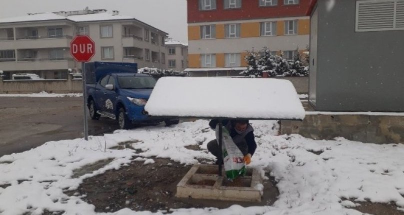 İnegöl Belediyesinden sokak hayvanlarına şefkat eli