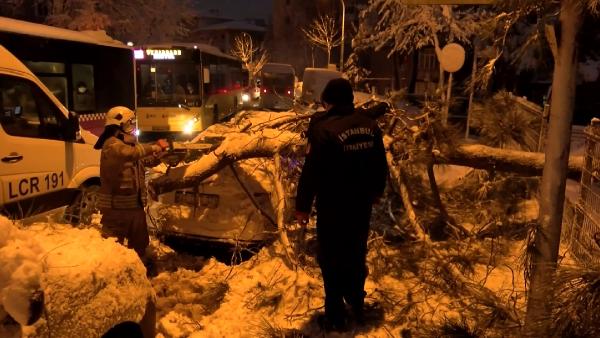 Kaldırımda yürüyen kadının üzerine ağaç devrildi!