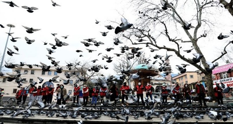 Bursa'da hayvan sevgisine yasak yok