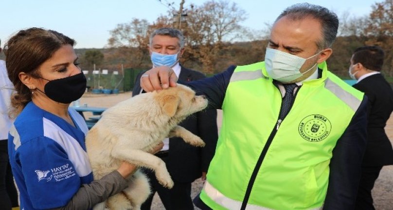 Bursa'nın emekli hayvanlar çiftliği