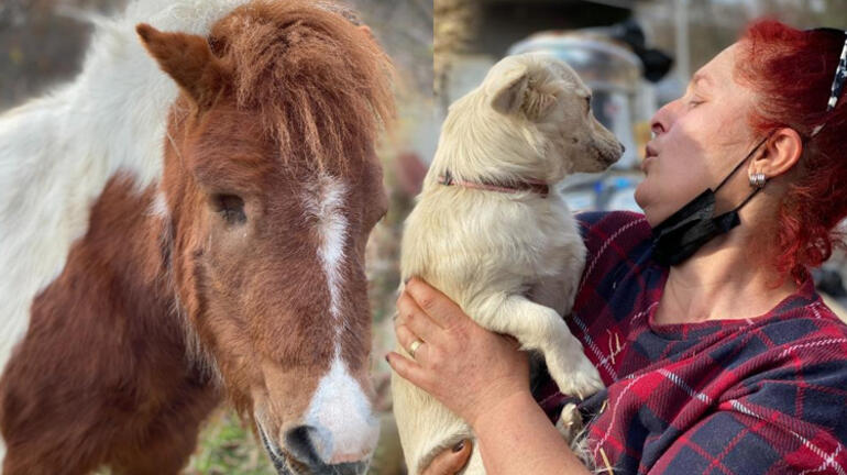 Köpeklerin sesinden rahatsız olunca, 'komşusunu silahla tehdit etti'