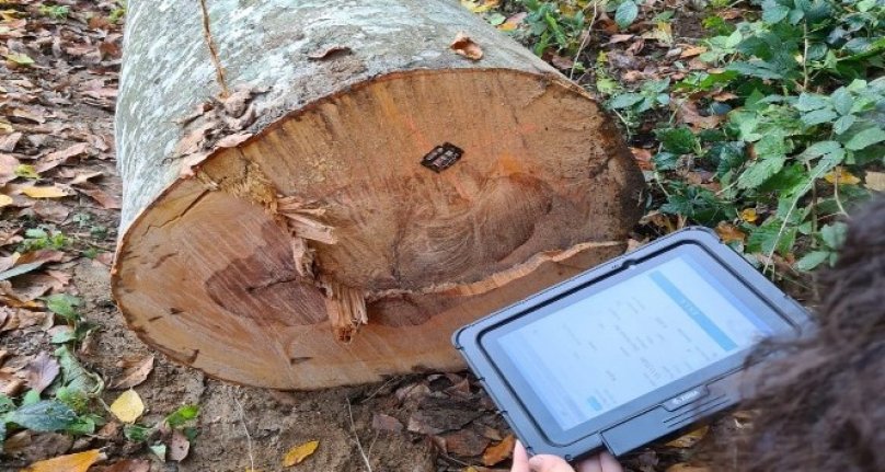 Ormanda 'barkod' sistemi uygulaması Mustafakemalpaşa’da başladı