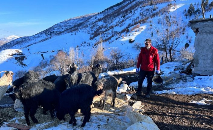 Depremin 17. gününde 25 hayvan enkaz altından sağ çıkarıldı