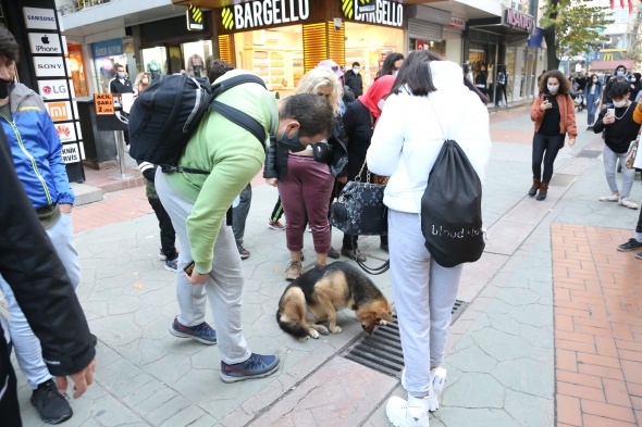 Mazgalı izleyen köpeğin sırrı ortaya çıktı!