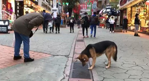 Her gün gelip aynı yere saatlerce bakıyor!