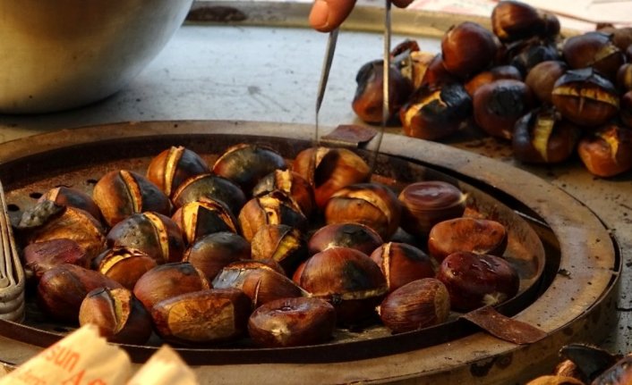 Bursa'da kestaneyi hastalık vurdu! Fiyatı altınla yarışmaya başladı