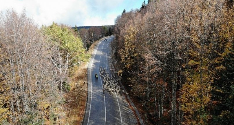 Uludağ'a kar düştü çobanların zorlu yolculuğu başladı