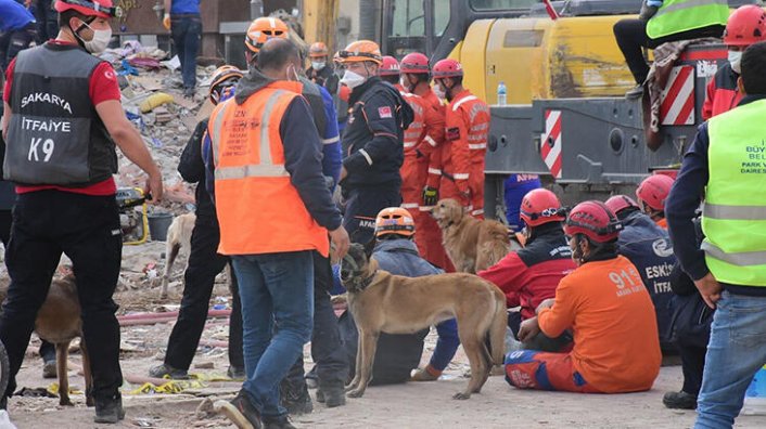 K9 köpekleri enkaz alanında