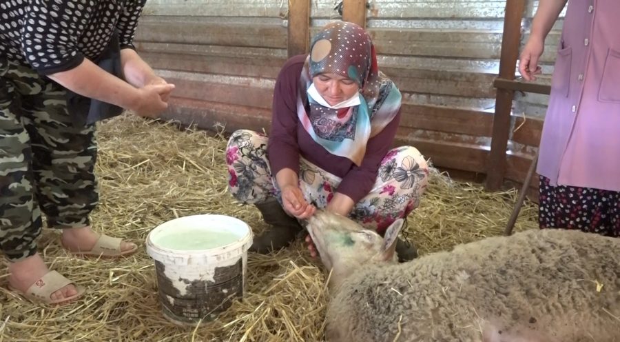 Bursa'da tedirgin eden olay!  Aniden fenalaşıp yere düşüyorlar