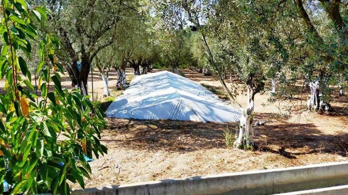 İznik'te bulundu! Hemen üstü kapatıldı