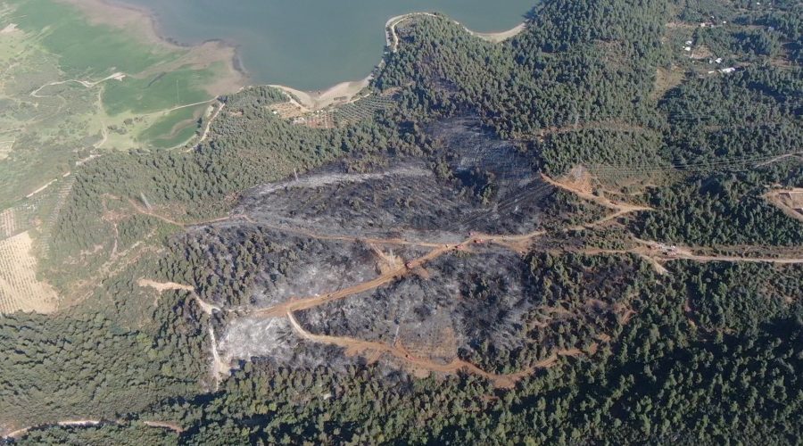 Bursa'daki yangının etkisi gün ışıklarıyla ortaya çıktı!