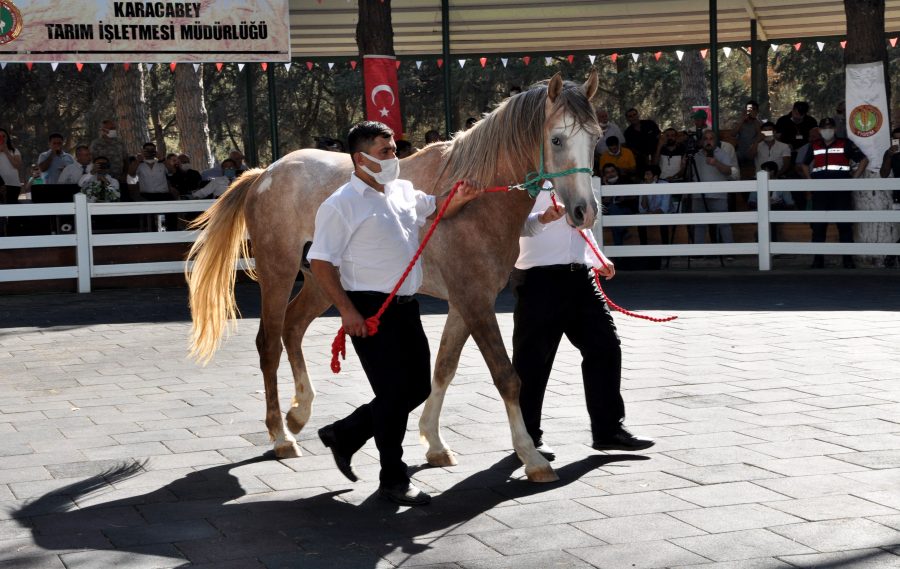 Bursa'da dubleks ev fiyatına tay!