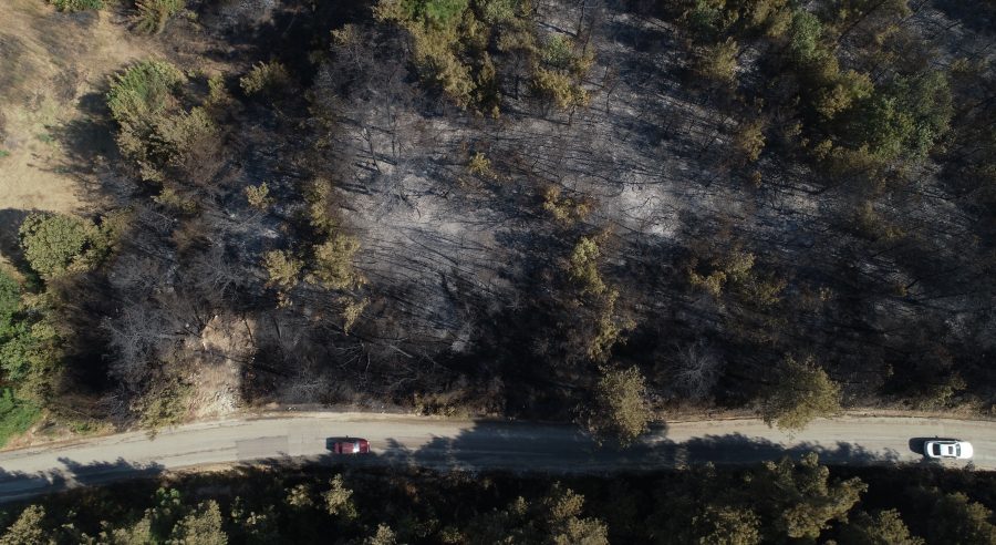 Bursa'da yanan ormanlık alanda otomatik tüfek bulundu