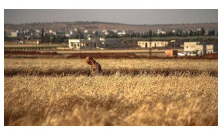 "Esad rejimi zorunlu askerliği reddeden 100 kişiyi mayın tarlasına sürdü" iddiası