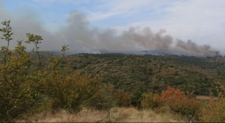 Sınırda yangın! 3 gündür devam ediyor...