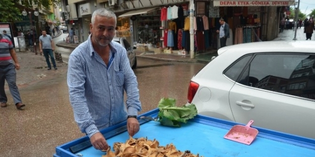 Fındık Mantarı 20 Tl