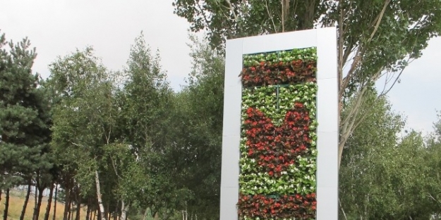 Erzurum’un İlk Dikey Bahçesi Ata Botanik Bahçesinde Oluşturuldu