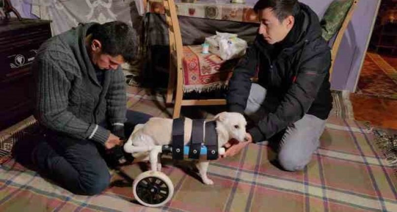 Bursa'da yolda bulduğu engelli köpeği hayata bağladı