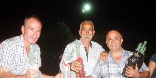 Misafirlerine Şeker Değil, Fıstıkçamı Fidanı Dağıttılar