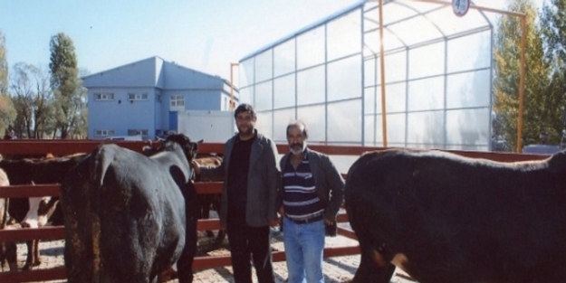 Pasinler’de Hayvan Pazarı Kapatıldı