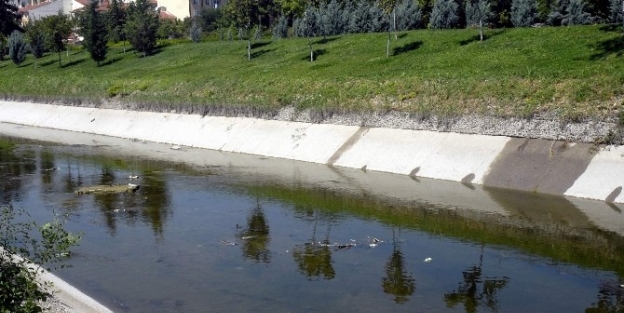 Porsuk Çayindaki Atıklar Görenleri Şaşirtti