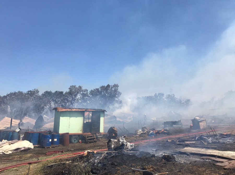 Bursa'da makilik ve ormanlık alanda yangın