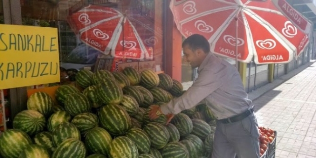 Hasankale Karpuzu Büyük İlgi Görüyor
