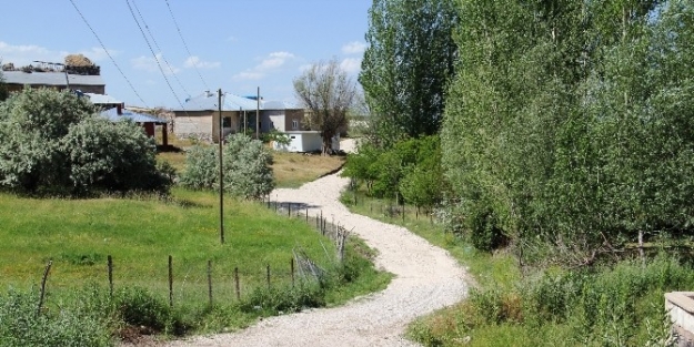 Tuşba Belediyesi’nden Hummalı Çalişma