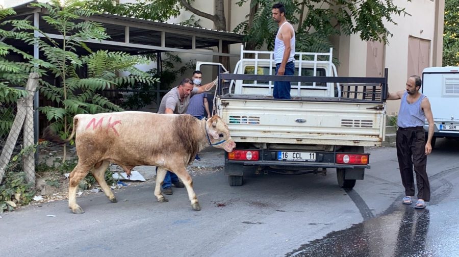 Bursa'da yine bir firar vakası