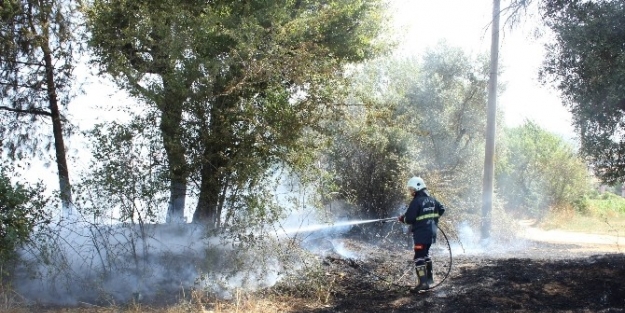 Muğla’da Arazi Yangını