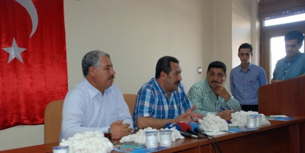 Şanliurfa’da Yılın İlk Pamuğu Satıldı