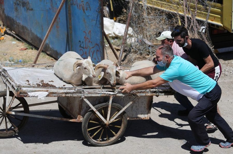 Bursa'da arife günü kurban pazarlarında hareketlilik var