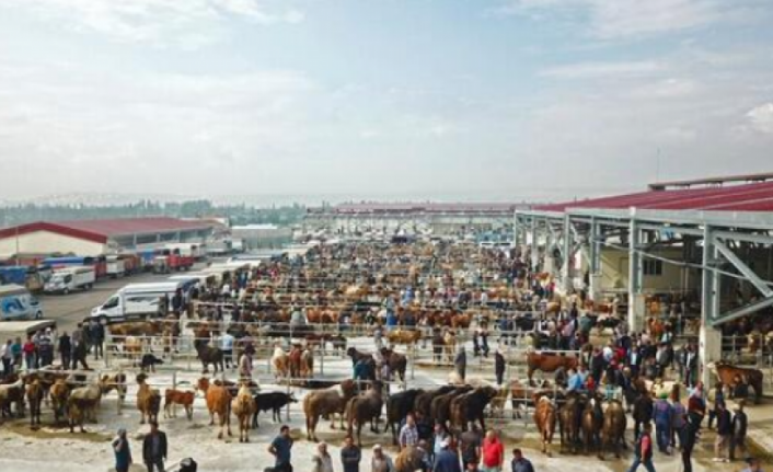 İlk kez yayınlandı! Bayramda bu hatayı sakın yapmayın