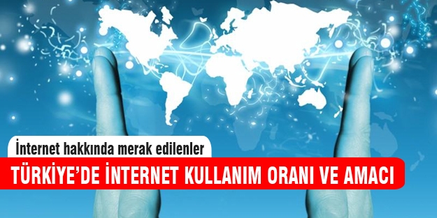 Türkiye'de internet kullanma oranı