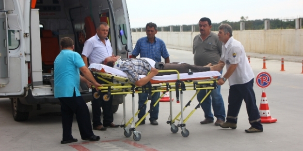 Samsun'da feci kaza: 2 ölü 24 yaralı