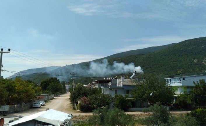 Erdek'te orman yangını