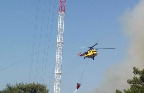 Muğla’da Orman Yangını