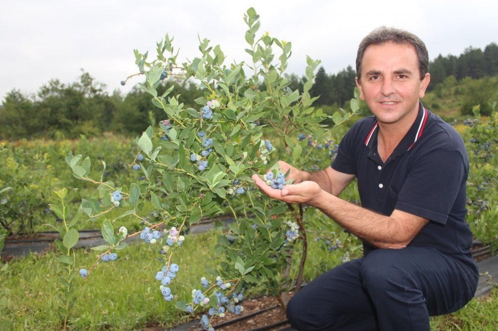 Bu meyvenin kilosu 60 TL, faydası saymakla bitmiyor