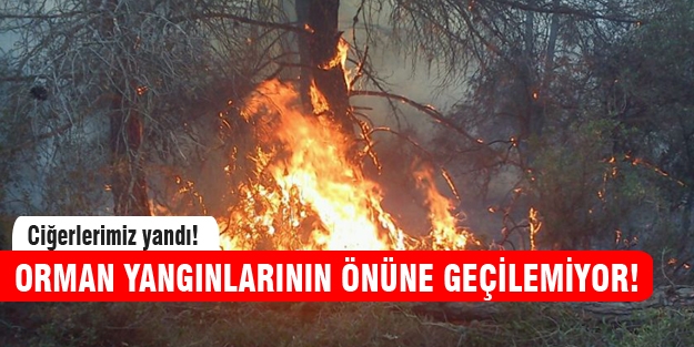 Ciğerlerimiz yandı!