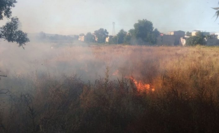 Bursa Paşaçiftliği'nde korkutan yangın