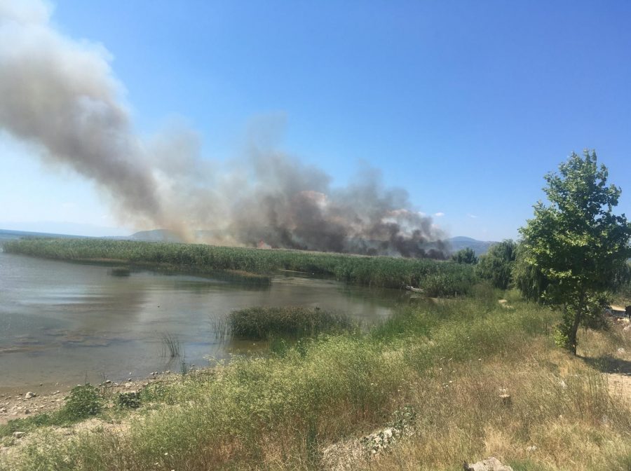 Bursa'da yangın! Giderek büyüyor