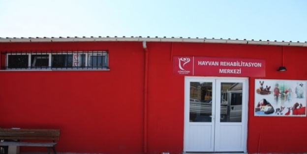 Güngören Hayvan Rehabilitasyon Merkezi Yenilendi