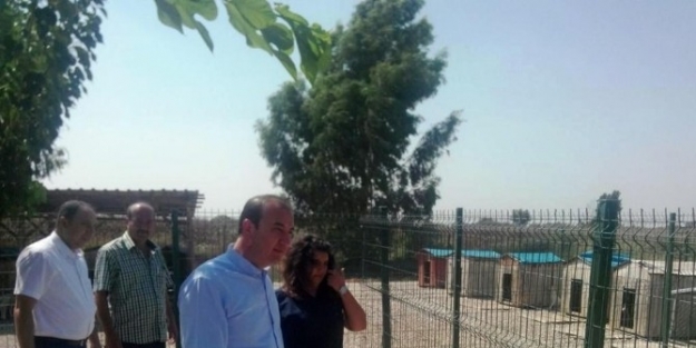 Başkan Öztürk Hayvan Barınağını Gezdi