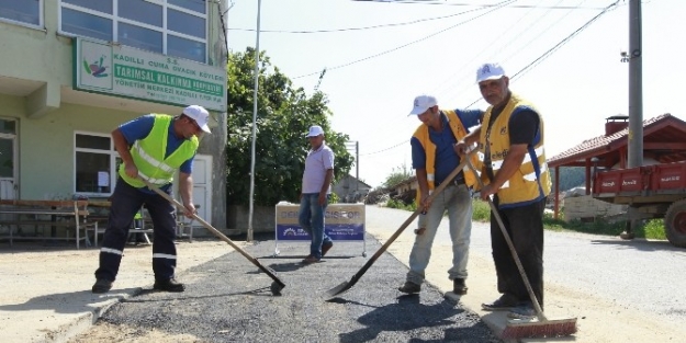 Gebze Köylerinde Hummalı Çalişma