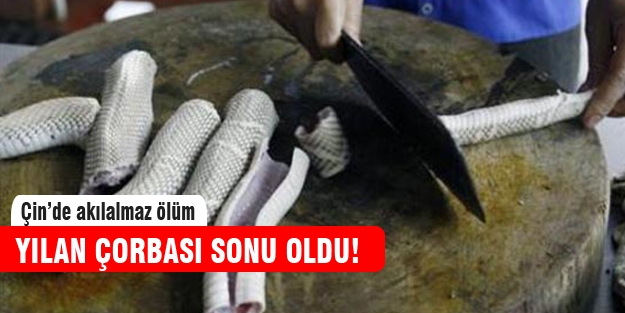 Kestiği yılanın kurbanı oldu